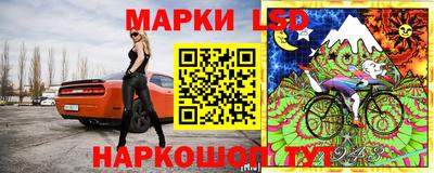 spice Будённовск