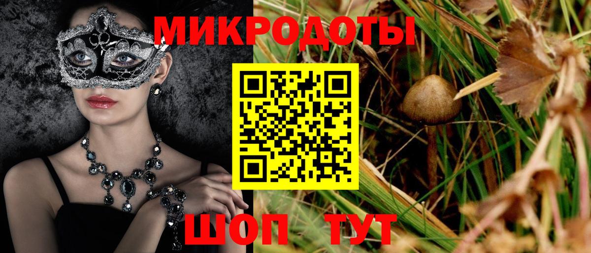 Псилоцибиновые грибы MAGIC MUSHROOMS  Псилоцибиновые грибы Cubensis  Вход с VPN  купить наркоту  Вичуга 